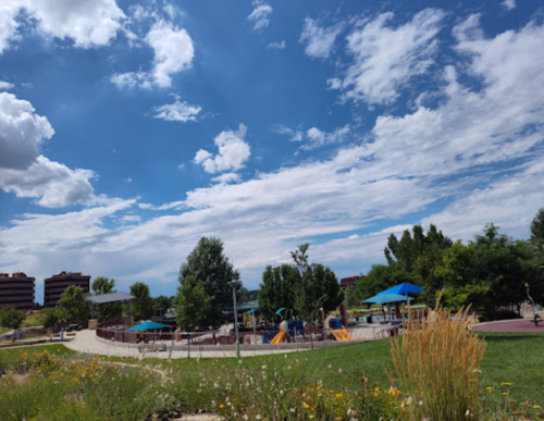 A sunny park scene with playgrounds, green trees, and blue skies dotted with clouds. Wildflowers in the foreground.