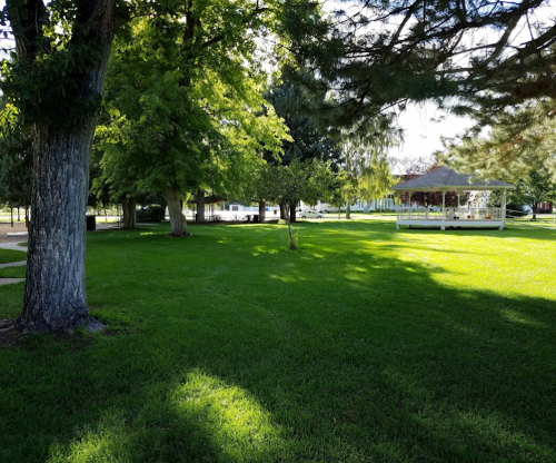 A sunny park scene featuring lush green grass, trees, and a gazebo in the background.