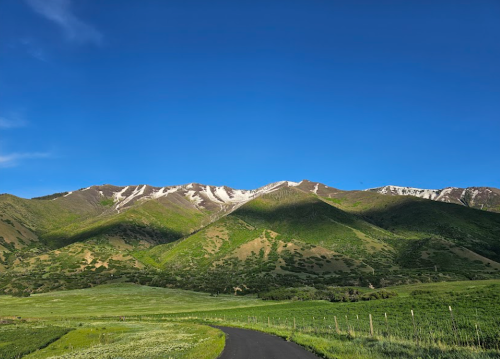 A winding road leads through lush green fields, with mountains and a clear blue sky in the background.