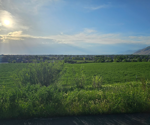 A scenic view of a green field under a bright sky with distant mountains and a setting sun.