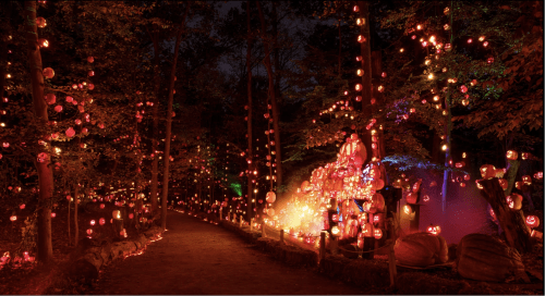 A dark forest path illuminated by glowing jack-o'-lanterns and colorful lights, creating a festive Halloween atmosphere.
