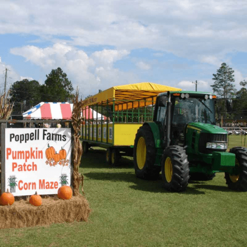 A green tractor pulls a yellow trailer at Poppell Farms, featuring signs for a pumpkin patch and corn maze.