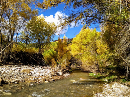 A serene river flows through a landscape of vibrant autumn trees under a blue sky with fluffy white clouds.