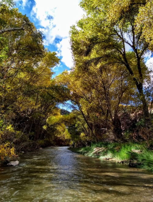 A serene river flows through a forest of golden autumn trees under a bright blue sky.