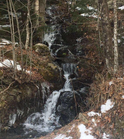 A small waterfall cascades over rocks, surrounded by trees and patches of snow, with icicles hanging from the edges.