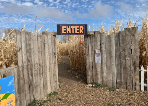 A wooden gate with an "ENTER" sign opens into a cornfield under a blue sky with scattered clouds.
