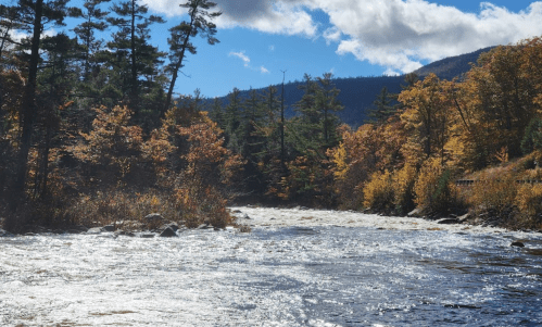 A serene river flows through a forest with vibrant autumn foliage under a bright blue sky.