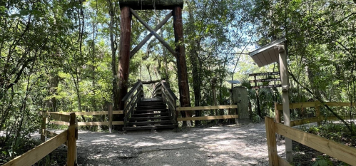 A wooden bridge leads into a lush, green forest with tall trees and a clear blue sky above.
