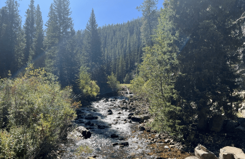 A serene river flows through a forested landscape, surrounded by tall trees and rocky banks under a clear blue sky.