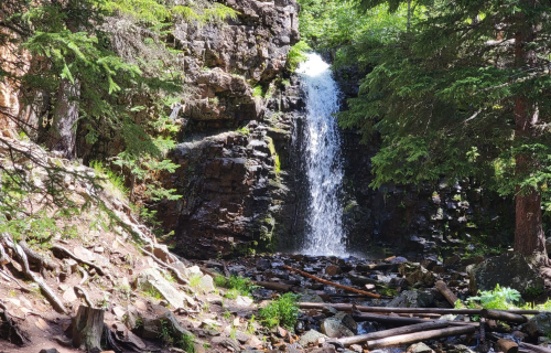 A serene waterfall cascading down rocky terrain, surrounded by lush green trees and scattered logs.