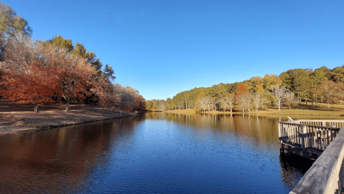 A serene lake surrounded by trees with autumn foliage under a clear blue sky. A wooden dock extends into the water.