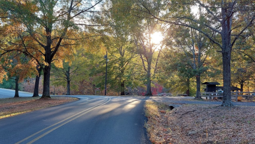 A winding road surrounded by colorful autumn trees, with sunlight filtering through the leaves.