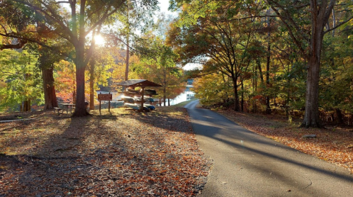 A serene path through colorful autumn trees, leading to a lakeside area with a picnic shelter. Sunlight filters through the leaves.