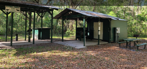 A small shelter with a roof, picnic table, and check station in a wooded area with fallen leaves on the ground.