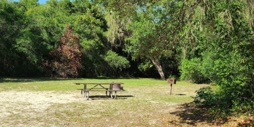A picnic table in a grassy area surrounded by trees and shrubs, with a grill nearby under clear blue skies.