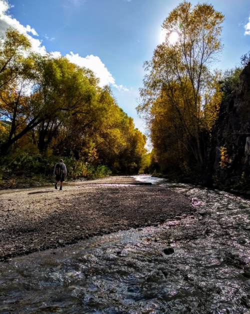 A person walks along a rocky riverbank surrounded by trees with autumn foliage under a bright blue sky.