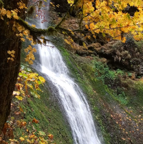 A serene waterfall cascading down a mossy cliff, surrounded by vibrant autumn leaves.