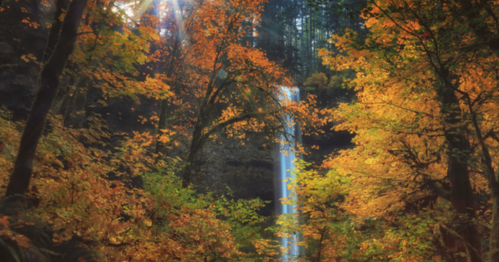 A serene forest scene with vibrant autumn foliage and a waterfall cascading through the trees.
