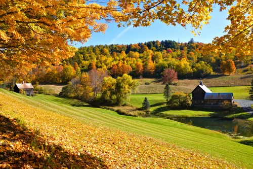 A picturesque autumn landscape with colorful trees, a pond, and rustic buildings under a clear blue sky.