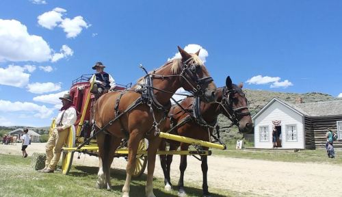 A horse-drawn carriage with two horses, a driver, and a man in period clothing, set against a blue sky and historic buildings.