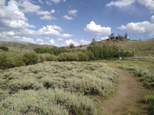 A scenic landscape featuring green shrubs, a dirt path, and a blue sky with fluffy clouds in a mountainous area.