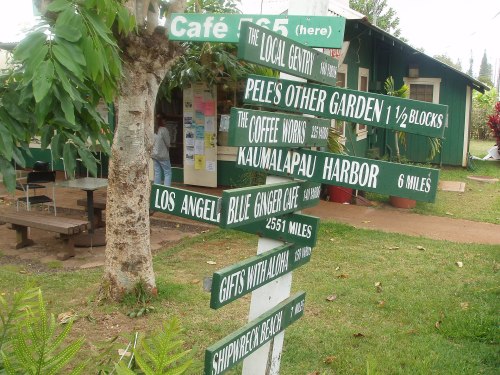 Signpost with directional signs to various locations, including cafes and landmarks, in a green outdoor setting.