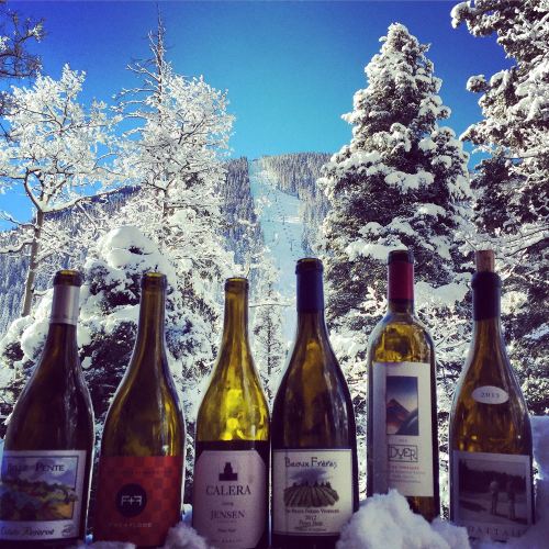 A row of wine bottles in the foreground with a snowy mountain landscape and blue sky in the background.