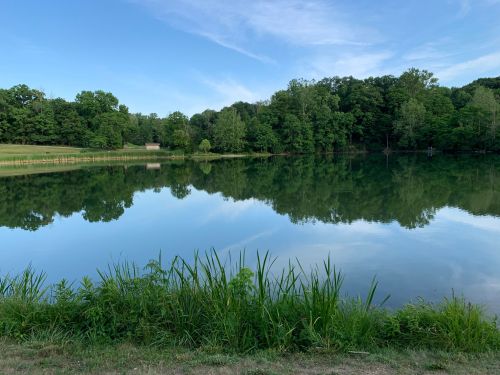 A serene lake surrounded by lush greenery, reflecting the trees and blue sky on its calm surface.