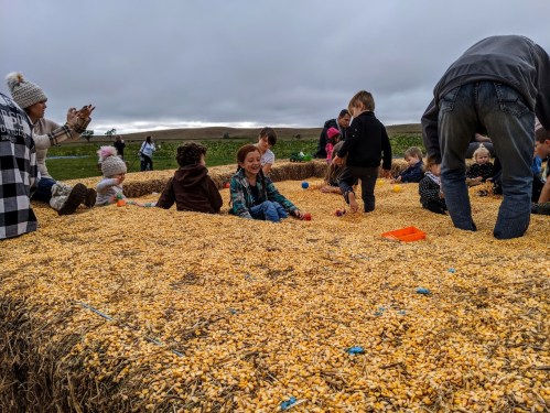 Children playing in a corn pit, surrounded by hay bales, with adults nearby taking photos on a cloudy day.