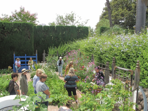 A vibrant garden filled with flowers and greenery, with a group of people exploring and enjoying the scenery.