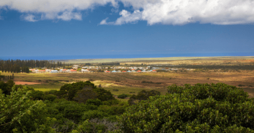 A scenic view of a coastal village surrounded by greenery and fields, with a blue sky and distant ocean.