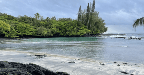 A serene beach scene with lush greenery, calm waters, and rocky shoreline under a cloudy sky.