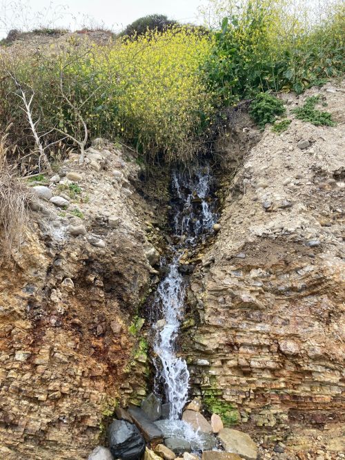 A small waterfall cascades down rocky terrain, surrounded by greenery and wildflowers.