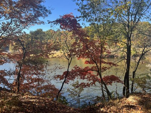 A serene lake surrounded by trees with vibrant autumn foliage under a clear blue sky.