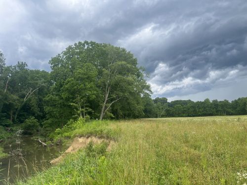 A lush green landscape with a riverbank, tall trees, and dark storm clouds overhead.