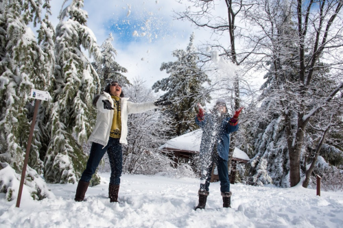 Two people joyfully throwing snow in a winter landscape, surrounded by snow-covered trees and a clear blue sky.