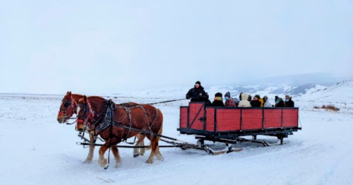 A horse-drawn sled carries passengers across a snowy landscape, with mountains in the background.
