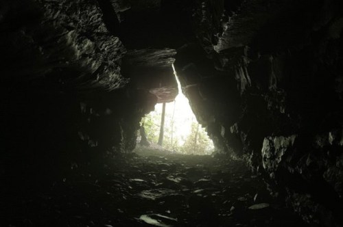 View from inside a dark cave, with light streaming in from the entrance and greenery visible outside.