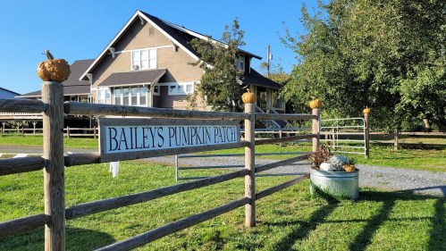 A wooden fence with a sign reading "Bailey's Pumpkin Patch" in front of a house and green lawn, decorated with pumpkins.