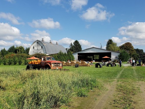 A vintage truck loaded with pumpkins parked in a field near a barn, with people and hay bales in the background.