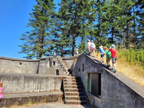 Children climbing a stone structure surrounded by tall trees on a sunny day.