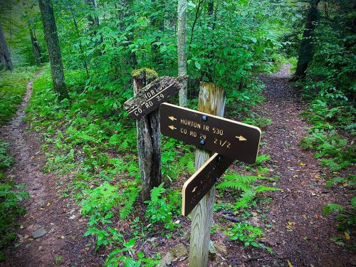 Two trail signs in a lush green forest, indicating directions for "Horizon TR 530" and "CO RD 29."