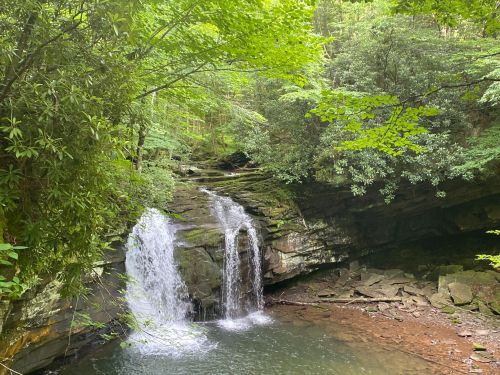 A serene waterfall cascades over rocks into a calm pool, surrounded by lush green foliage in a tranquil forest setting.