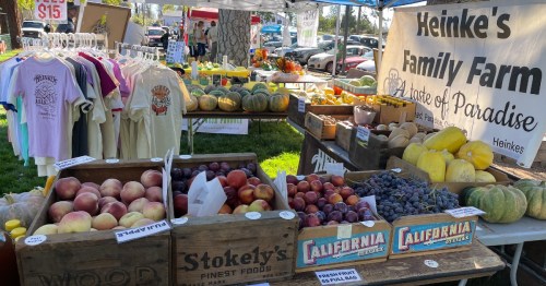 A vibrant farmers market display featuring fresh fruits, vegetables, and colorful merchandise under a tent.