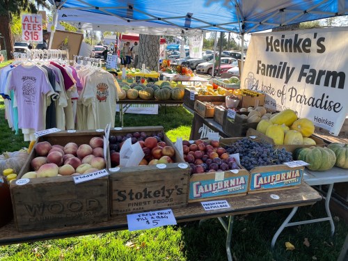 A farm stand displays fresh fruits, vegetables, and merchandise under a blue canopy at a market.