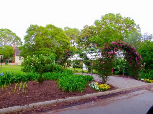 A lush garden with colorful flowers, greenery, and a gazebo surrounded by trees and a pathway.