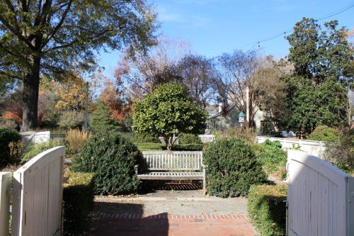 A peaceful garden scene featuring a wooden bench surrounded by greenery and trees under a clear blue sky.