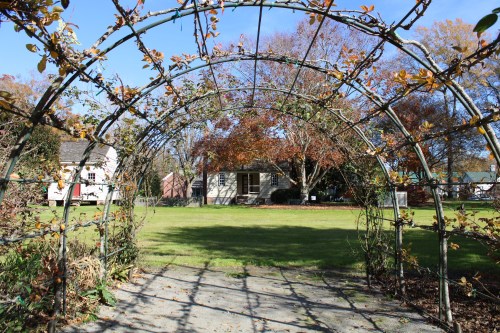 A garden archway covered in vines leads to a grassy area and a house in the background, surrounded by autumn trees.