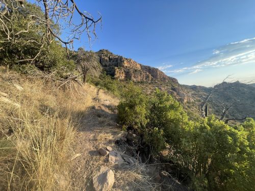 A scenic view of a rocky hillside with sparse vegetation and a clear blue sky in the background.