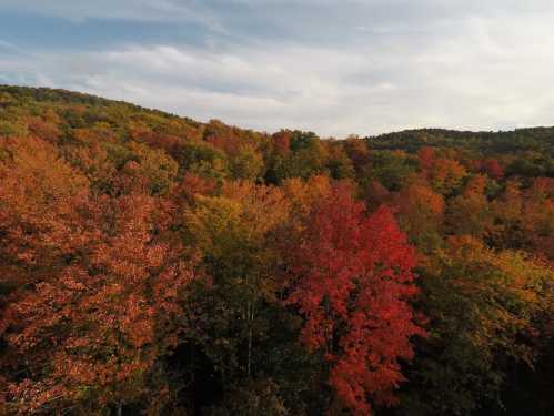 A vibrant autumn landscape with trees displaying shades of red, orange, and yellow against a cloudy sky.